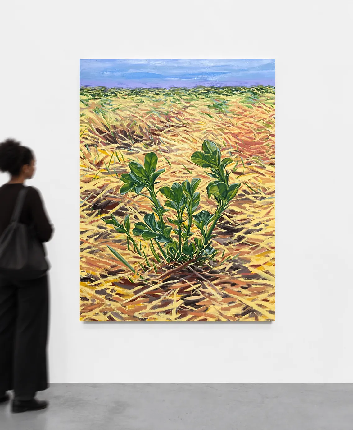 Vue d'exposition " Petite pousse dans un champs de paille" — Huile sur toile - 160 cm x 120 cm 
2025 - 2026