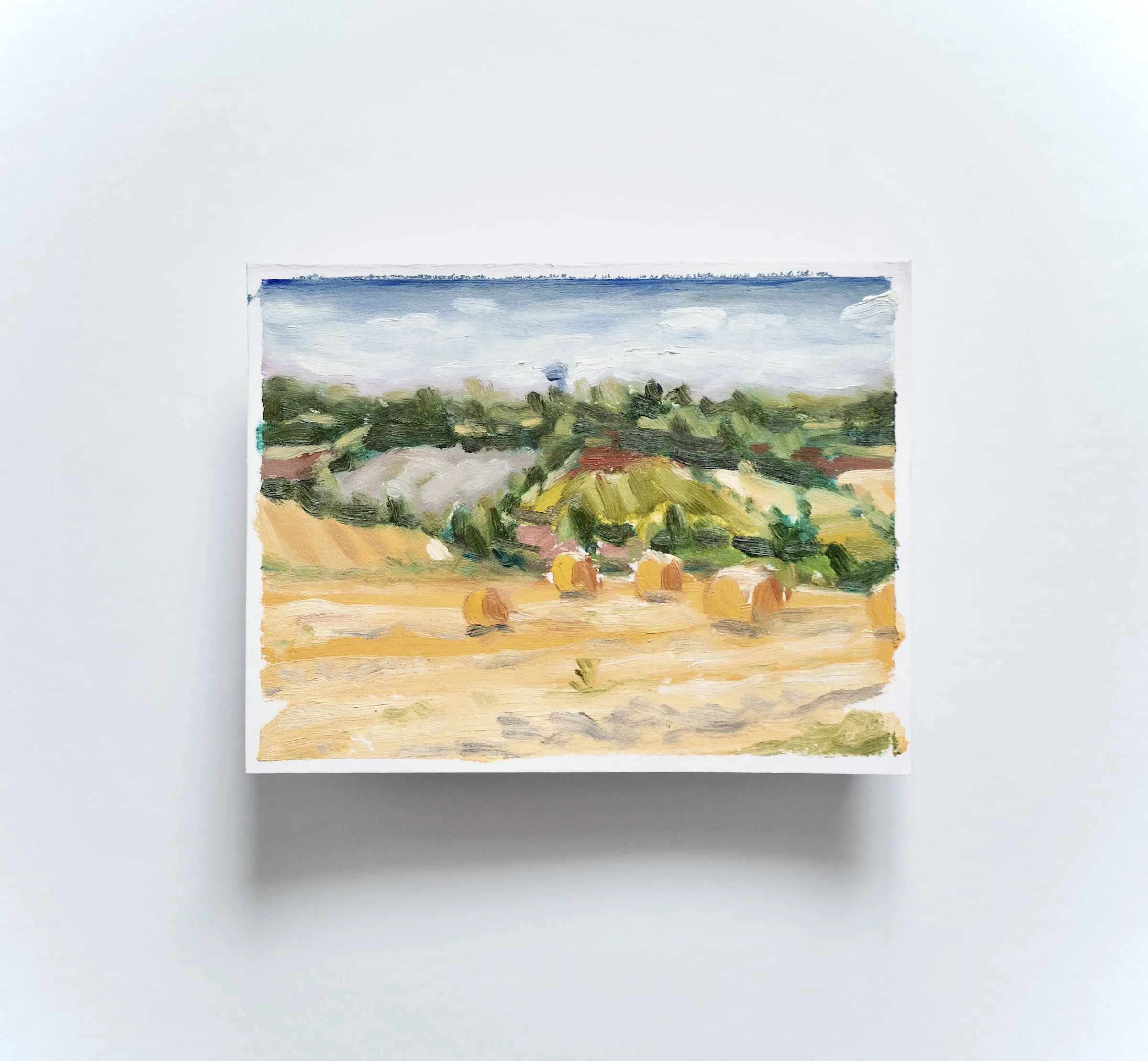 Champs et coline de Tourraine en été  — Huile sur papier 
15 cm x 20 cm 