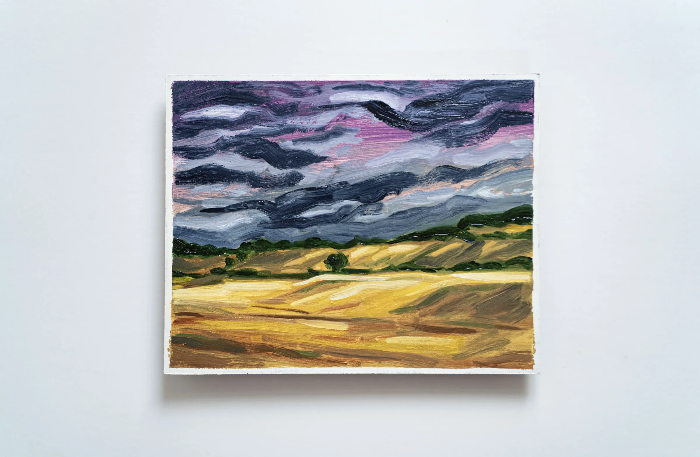 Paysage orageux d'été — Huile sur carton 
24 cm x 30 cm 
2025