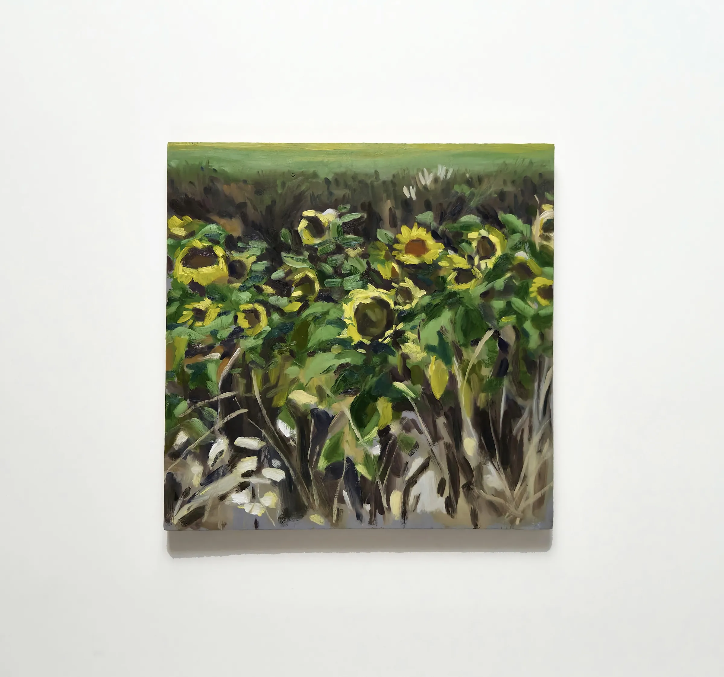 Tournesols  — Huile sur bois 
50 cm x 50 cm 
2026