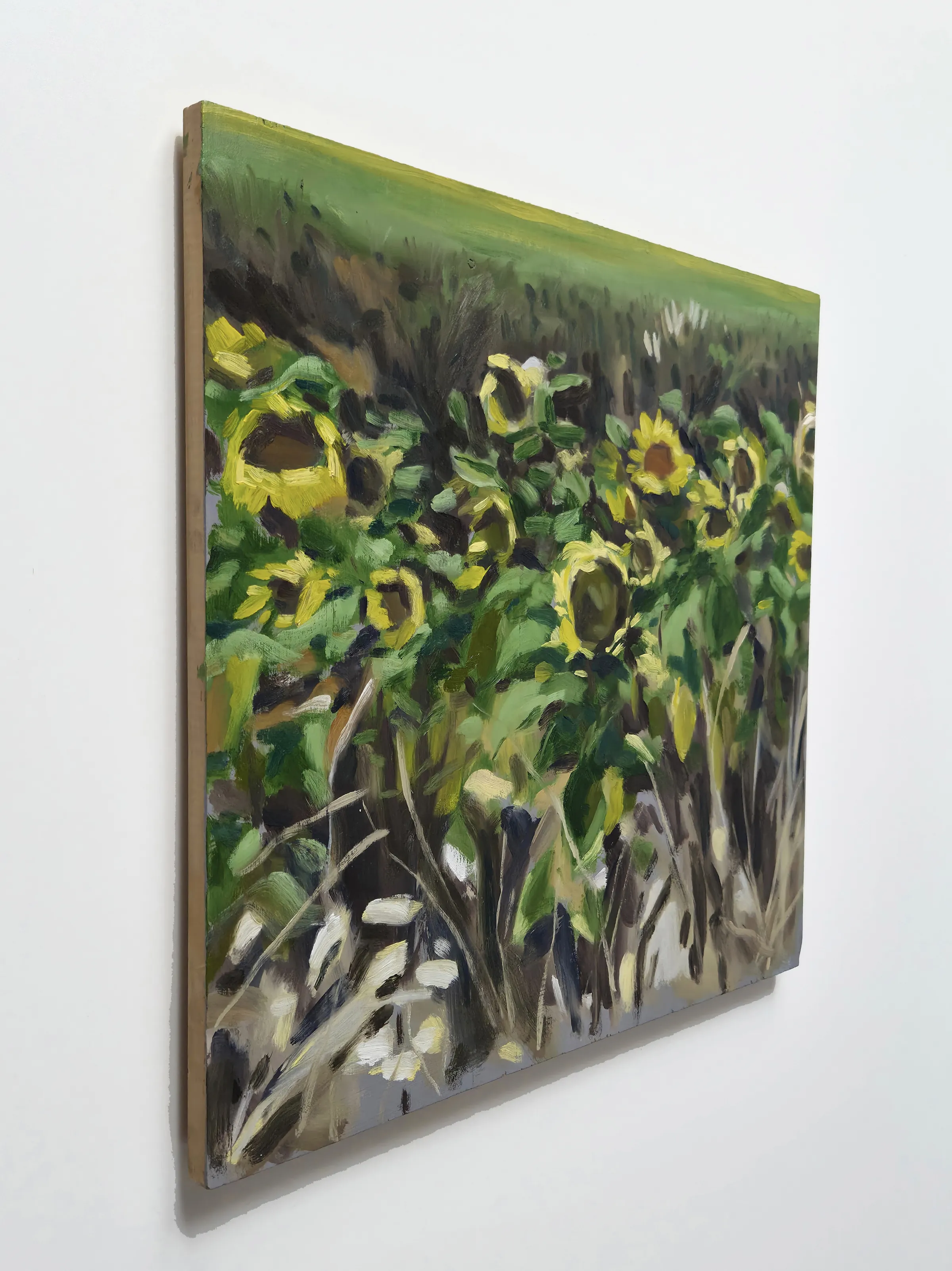 Tournesols  — Huile sur bois
50 cm x 50 cm 
2026